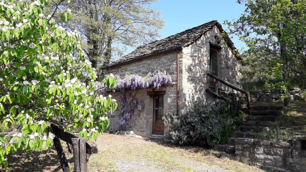 Ca' D'Alfieri Villa Bardi Ngoại thất bức ảnh